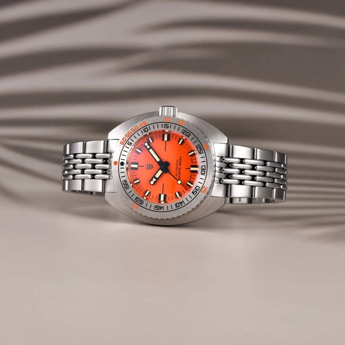 ▶️ Pagani Design PD-1719 | NH38A | Diver's Watch 30BAR | Sapphire